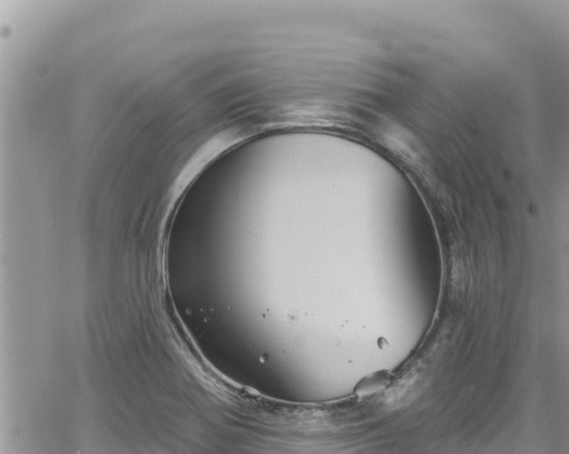 X0000065261370200602211239