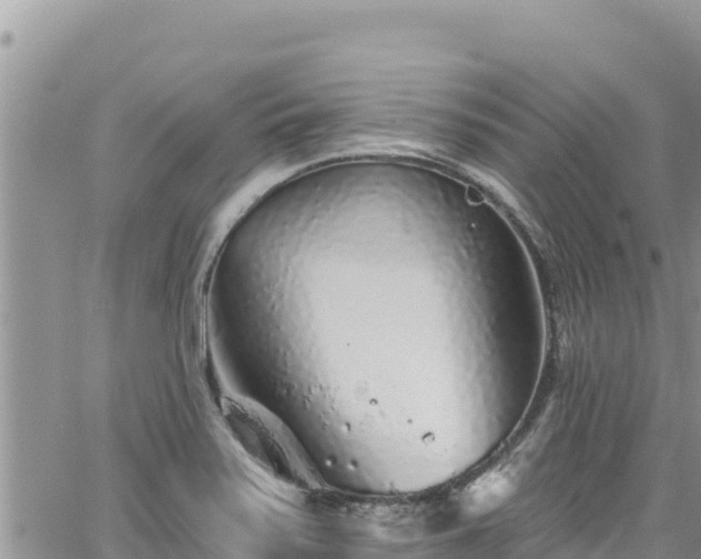 X0000065261371200602211239