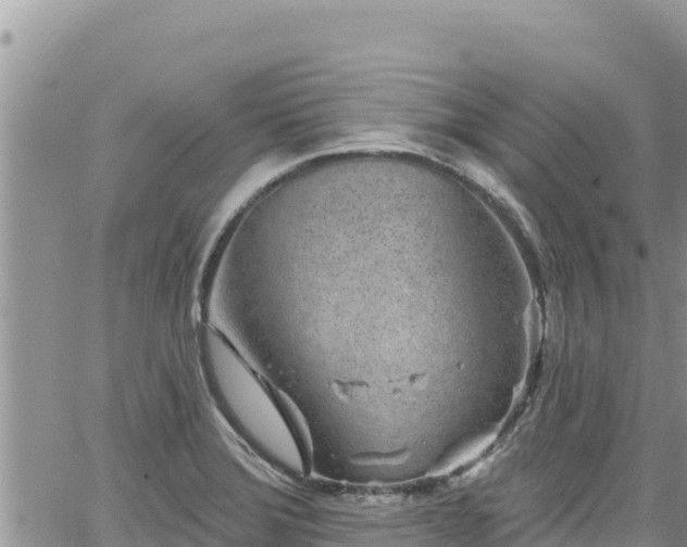 X0000065261372200602211239