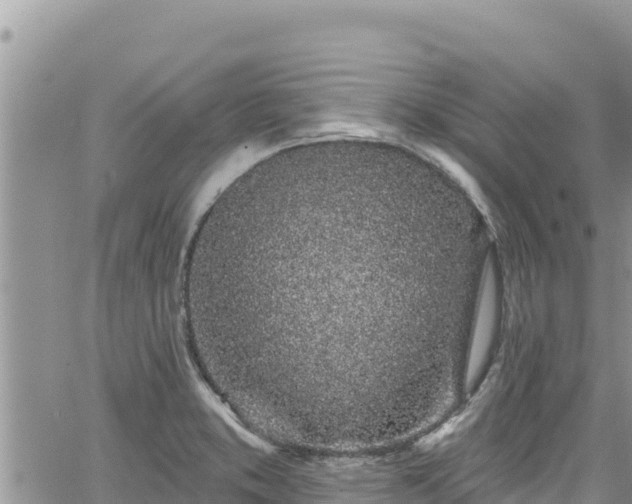 X0000065261373200602211239