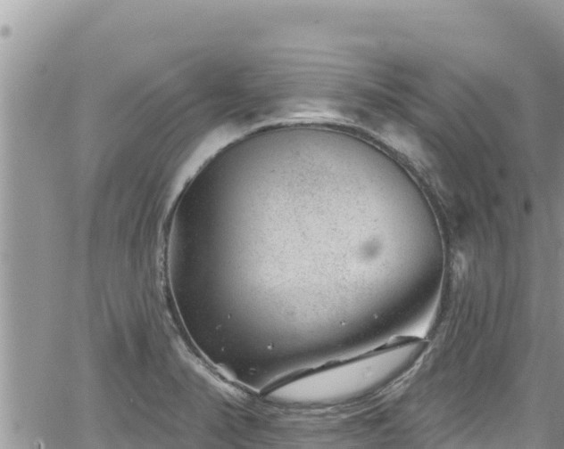 X0000065261374200602211239