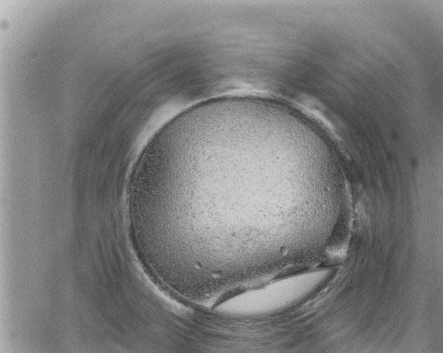 X0000065261375200602211239