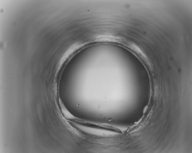 X0000065261376200602211239