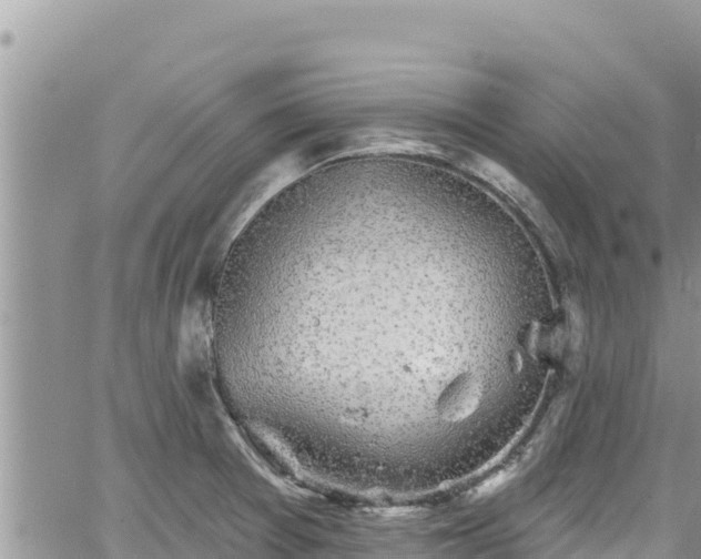 X0000065261377200602211239