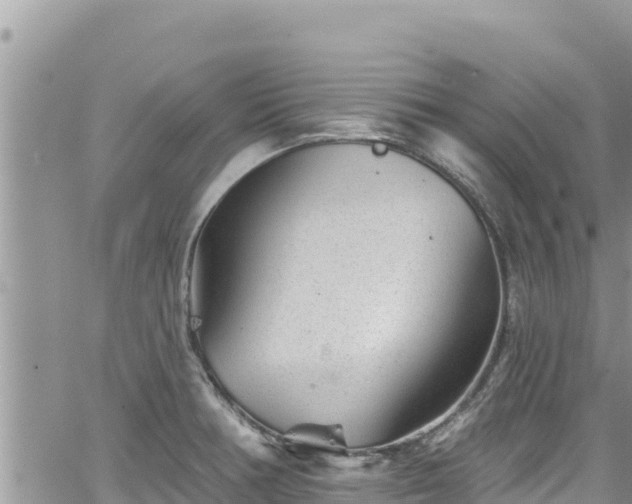 X0000065261378200602211239