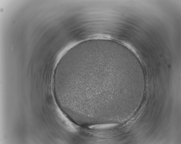 X0000065261379200602211239