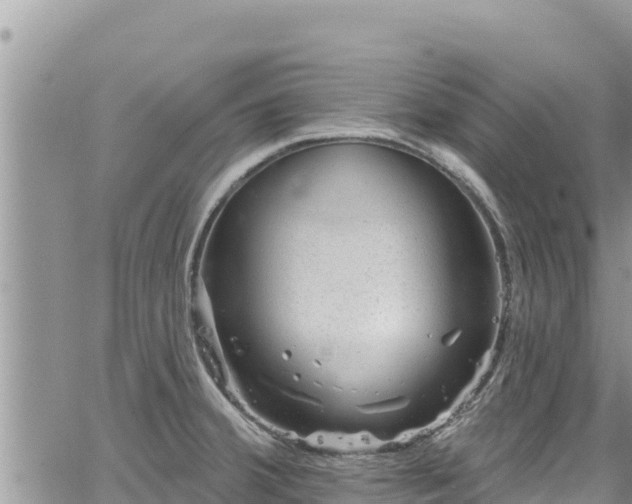 X0000065261380200602211239