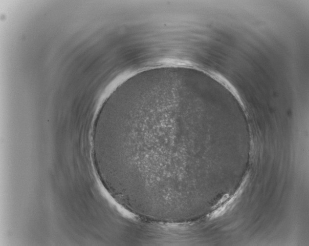 X0000065261381200602211239