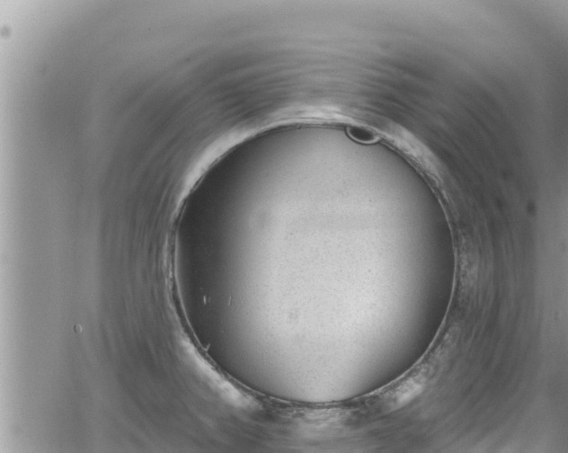 X0000065261382200602211239