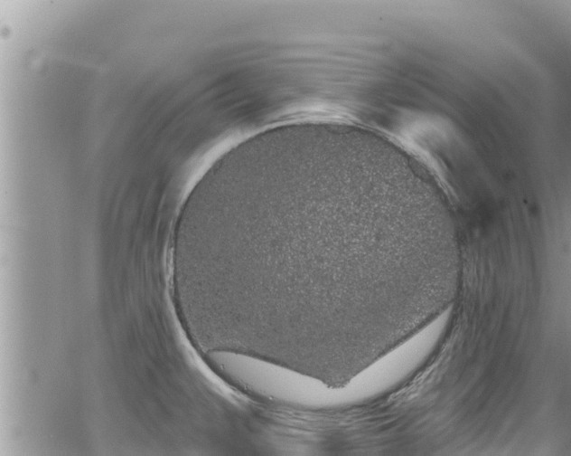 X0000065261383200602211239