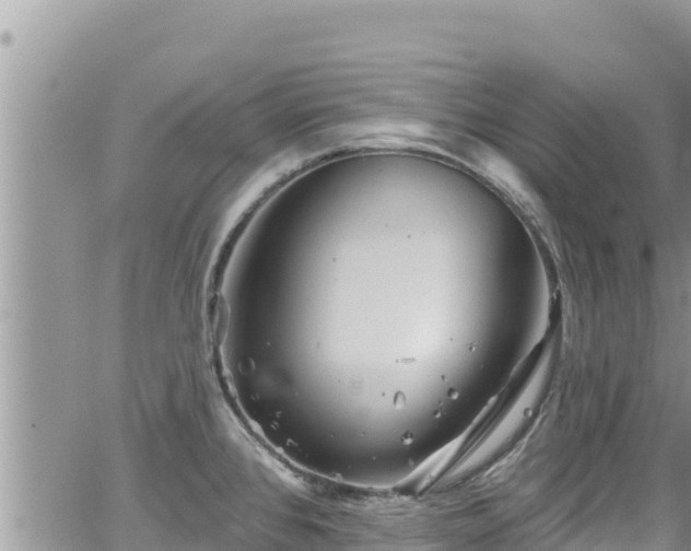 X0000065261384200602211239