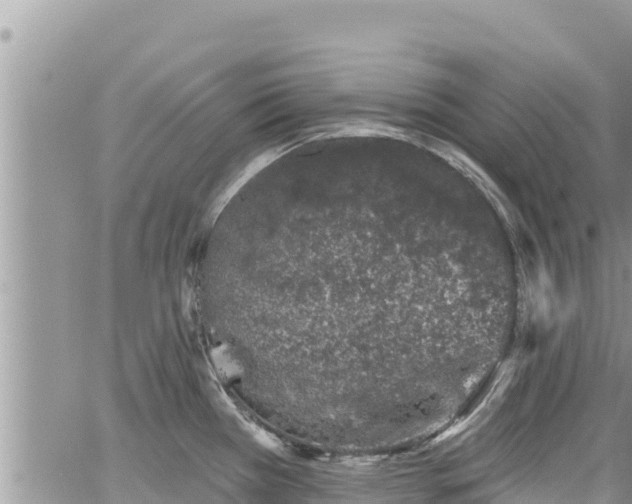 X0000065261385200602211239