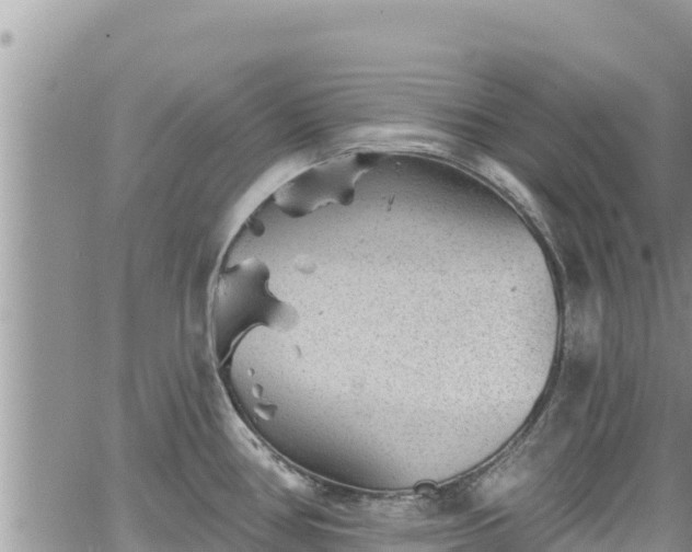 X0000065261386200602211239