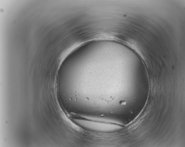 X0000065261387200602211239