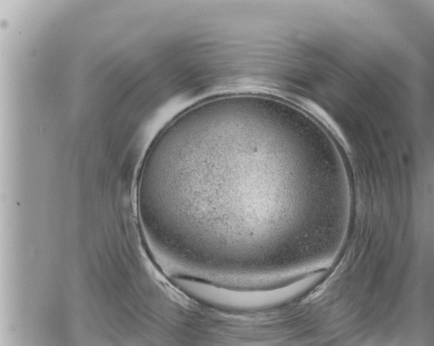 X0000065261388200602211239