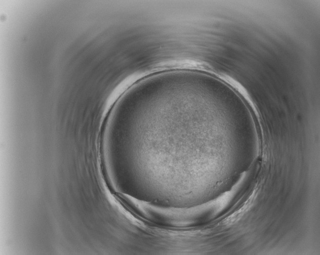 X0000065261389200602211239