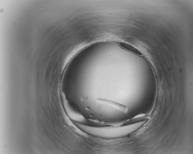 X0000065261390200602211239