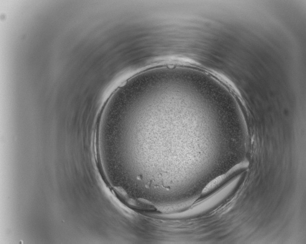 X0000065261391200602211239