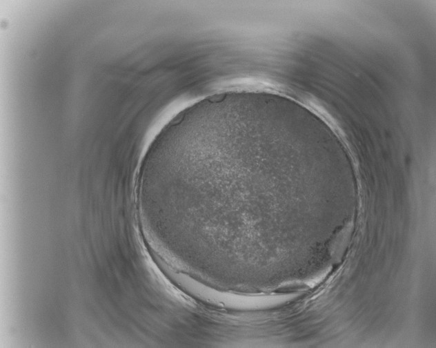 X0000065261392200602211239