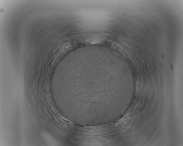 X0000065261393200602211238