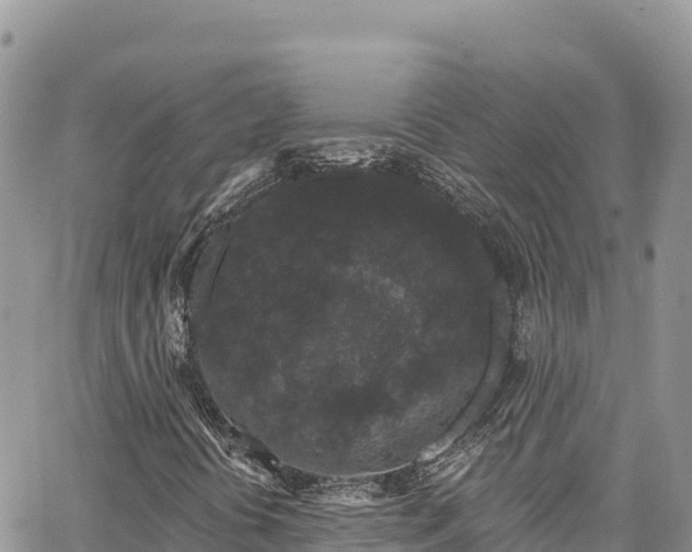 X0000065261394200602211238