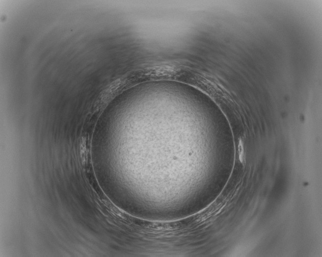 X0000065261395200602211238