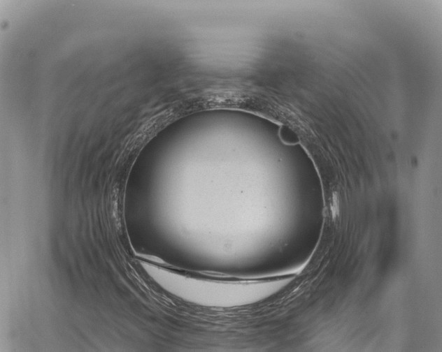 X0000065261396200602211238