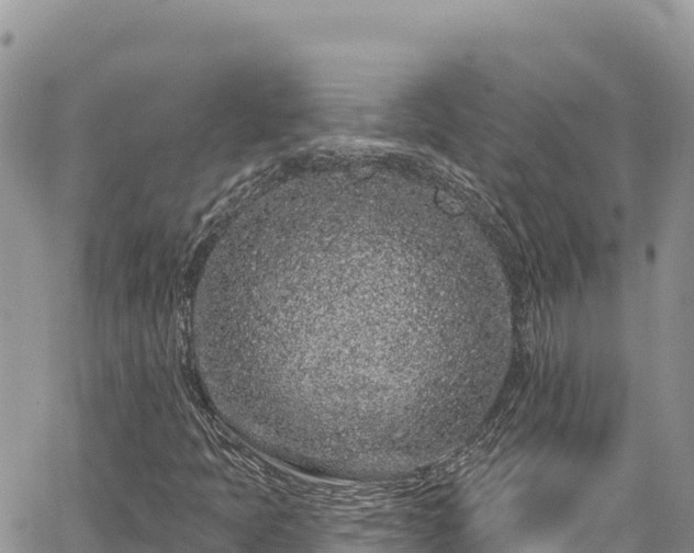 X0000065261397200602211238