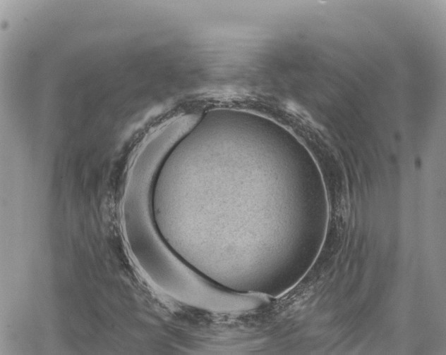 X0000065261398200602211238