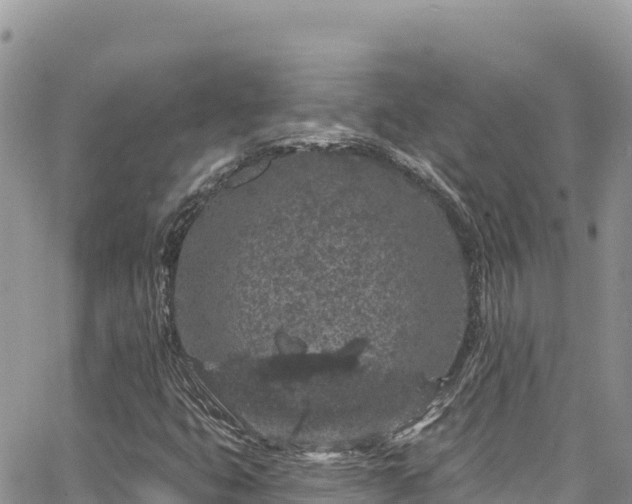 X0000065261399200602211238