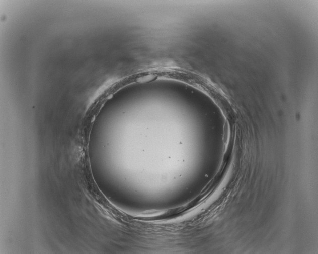 X0000065261400200602211238