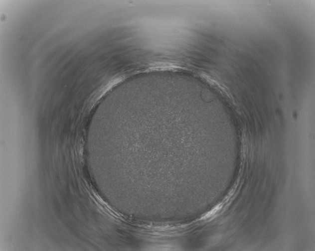 X0000065261401200602211238