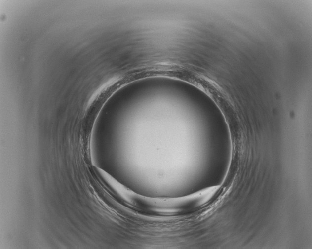 X0000065261402200602211238