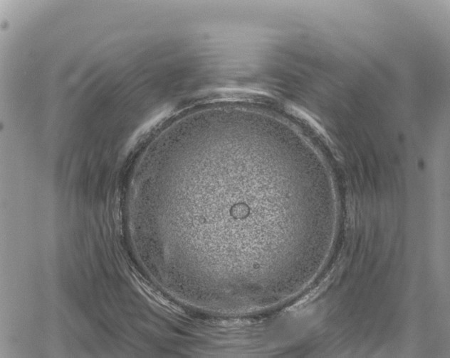 X0000065261403200602211238