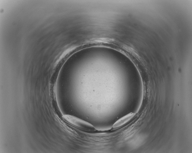 X0000065261404200602211238