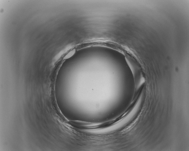 X0000065261406200602211238