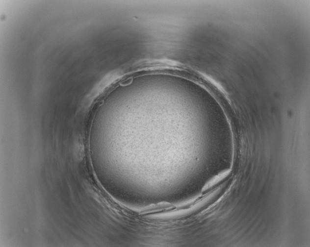 X0000065261407200602211238