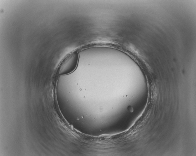 X0000065261408200602211238