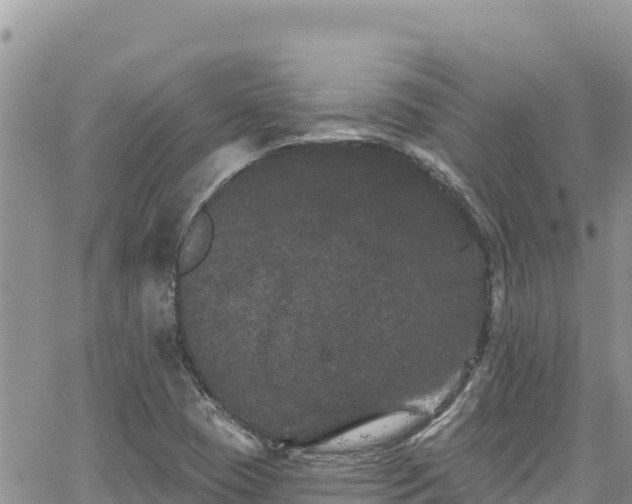 X0000065261409200602211238