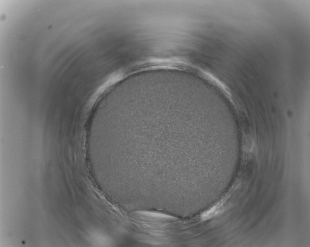 X0000065261411200602211238