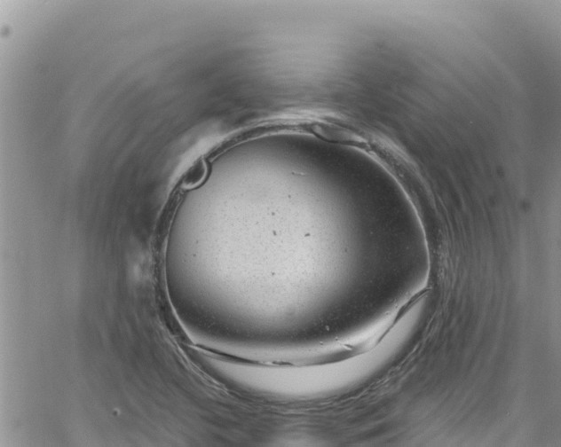 X0000065261412200602211238