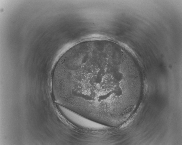 X0000065261413200602211238