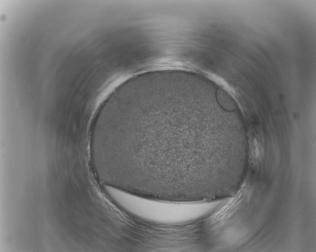 X0000065261415200602211238