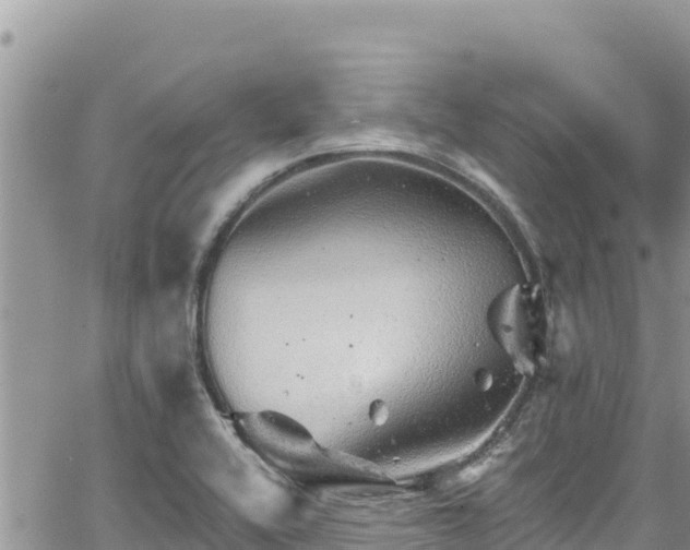 X0000065261416200602211238