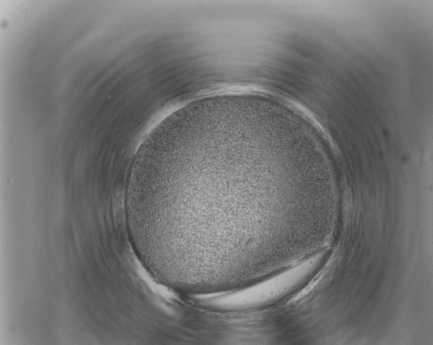 X0000065261417200602211238