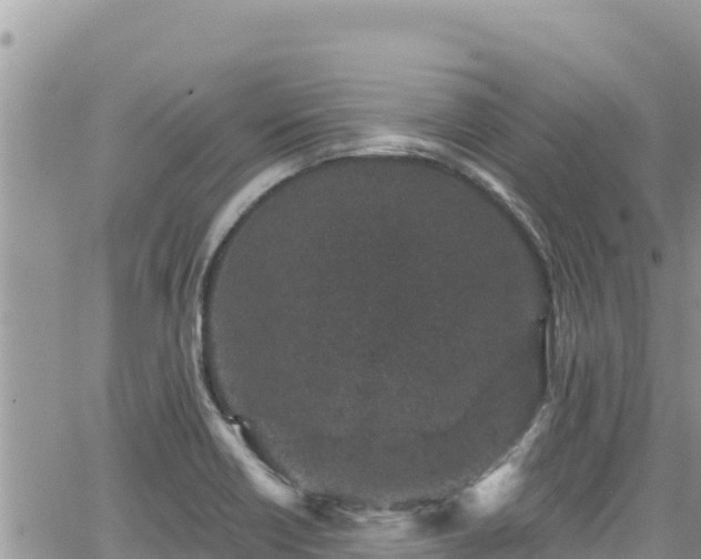 X0000065261418200602211238