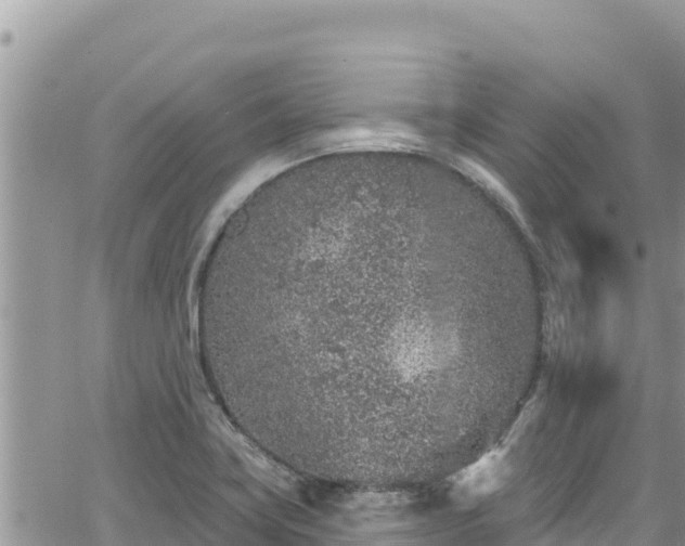 X0000065261419200602211238