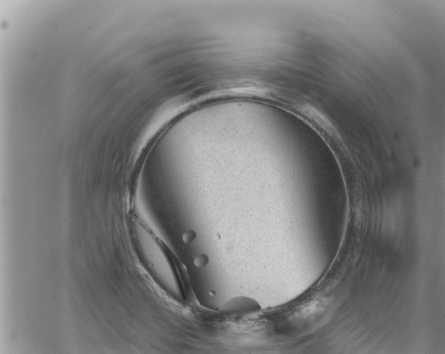 X0000065261420200602211238