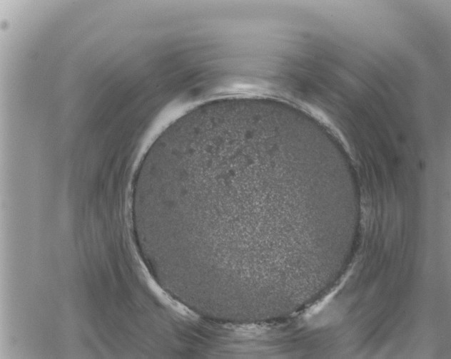 X0000065261421200602211238