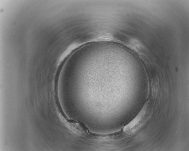 X0000065261422200602211238